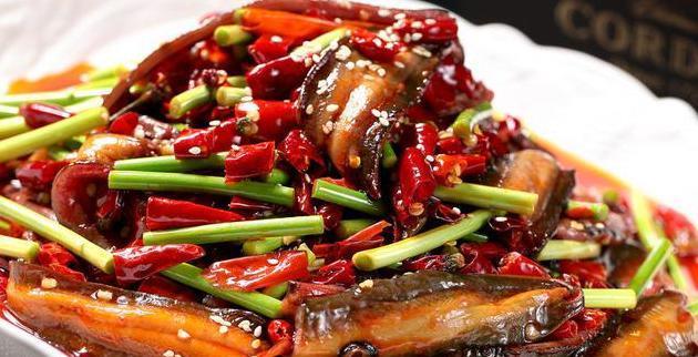 黄鳝虽然好吃，但是还有一些不为人知的禁忌，你们知道吗？