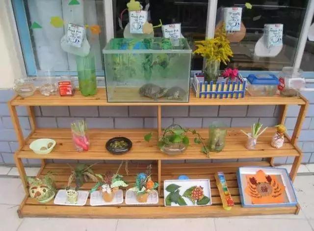 幼儿园优秀区角设计欣赏