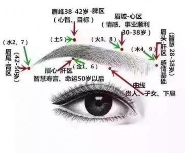 ​当别人问你眉毛有什么形状，眉毛你都认识吗？眉形大全在这里