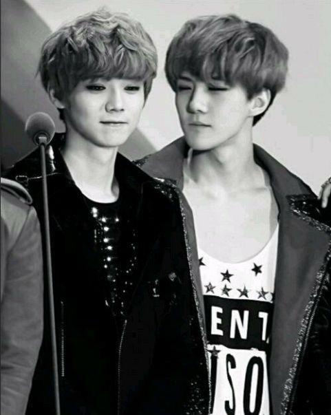 他们长得简直一模一样，竟然不是双胞胎？