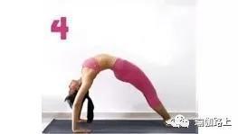 瑜伽轮式的 9 种练习方式，你Get到了几种？