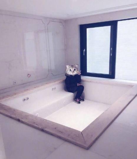 论炫富我就服郭敬明,郭敬明新豪宅曝光,网友:浴缸大得像游泳池