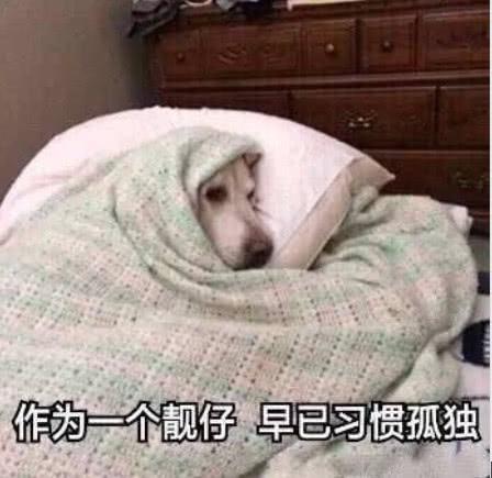 高清无水印超火表情包作为一个靓仔,早已习惯孤独!