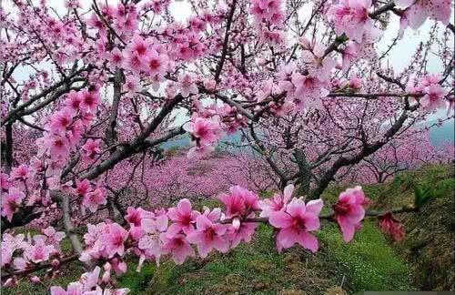 这几种孩子,天生是招财童子,打着灯笼都难找!有你家孩子吗?