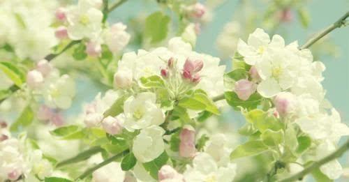 这几种孩子,天生是招财童子,打着灯笼都难找!有你家孩子吗?