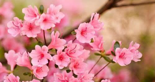 这几种孩子,天生是招财童子,打着灯笼都难找!有你家孩子吗?