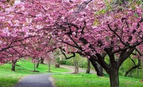 这几种孩子,天生是招财童子,打着灯笼都难找!有你家孩子吗?