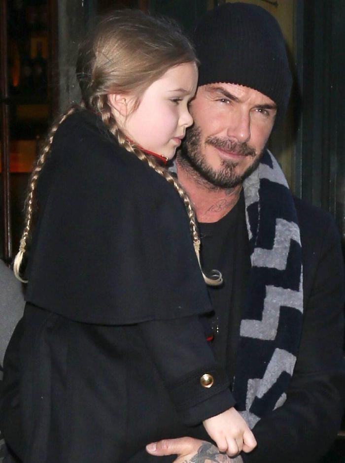 投胎界的小小扛把子! 小七曾经在小贝的怀中惊艳了世界