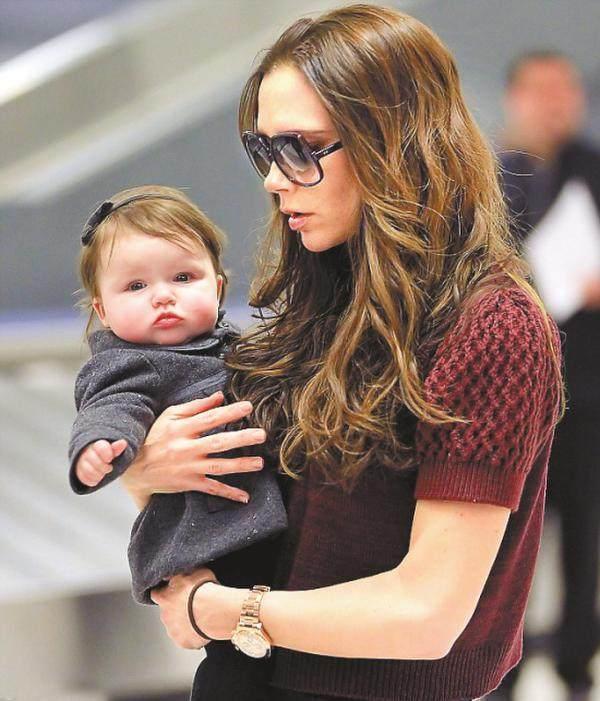 投胎界的小小扛把子! 小七曾经在小贝的怀中惊艳了世界