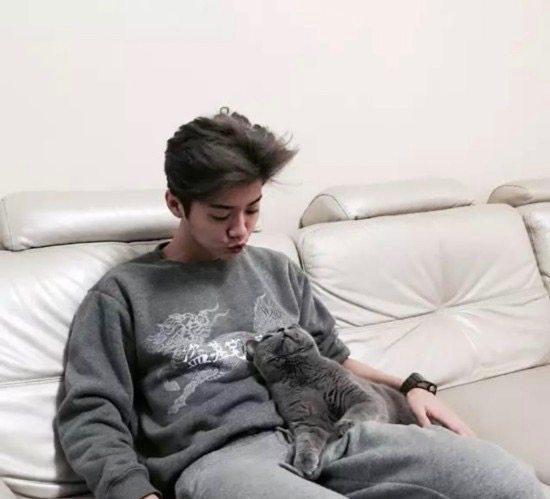 男神鹿晗养的猫，俄罗斯蓝猫到底有多萌