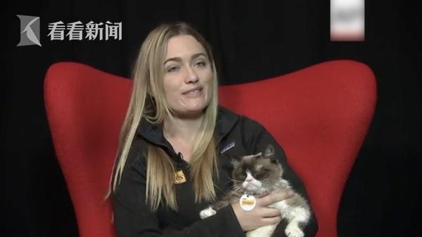 喵星人网红“不爽猫”去世 天生丧脸曾为主人狂赚1亿美元