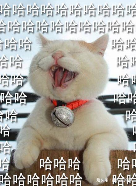 好笑又心疼,六年级小学生出考场写悔过书,网友:这么有才华吗!