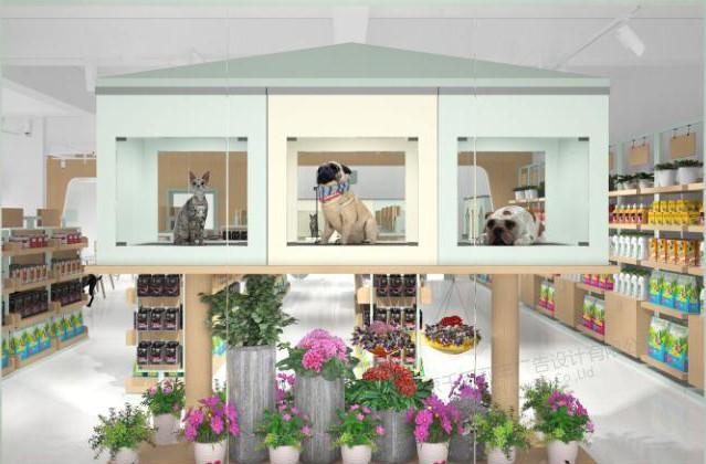 开个小型的宠物店一年的利润有多大