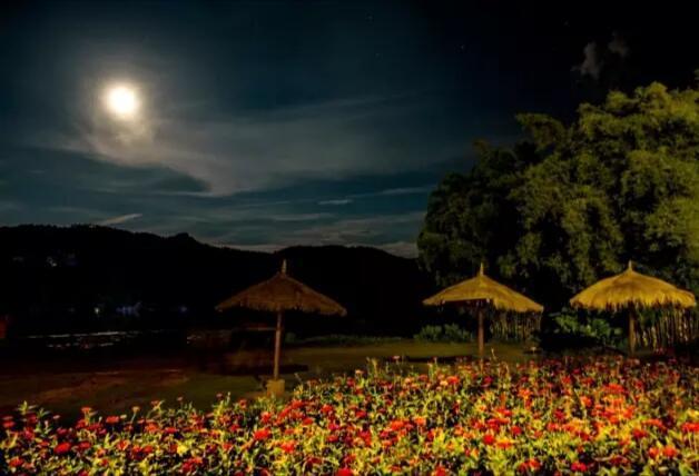 石表山位于广西藤县象棋镇道家村,总面积约15.8平方公里