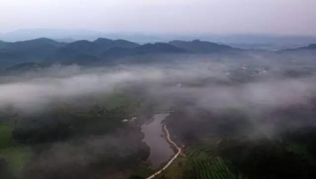 石表山位于广西藤县象棋镇道家村,总面积约15.8平方公里