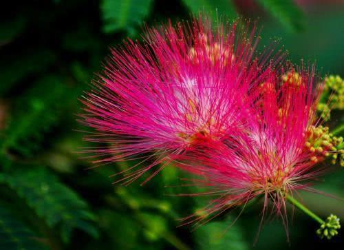 不求轰轰烈烈的爱，只愿天长地久，平平淡淡过一生的三大生肖