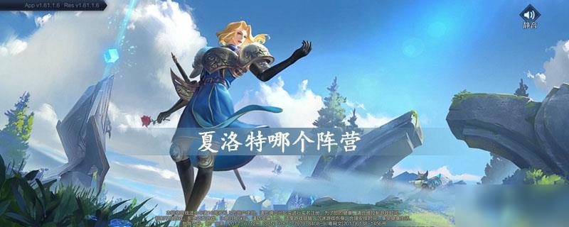 夏洛特哪个阵营