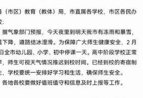 南京停课(南京停课2024)