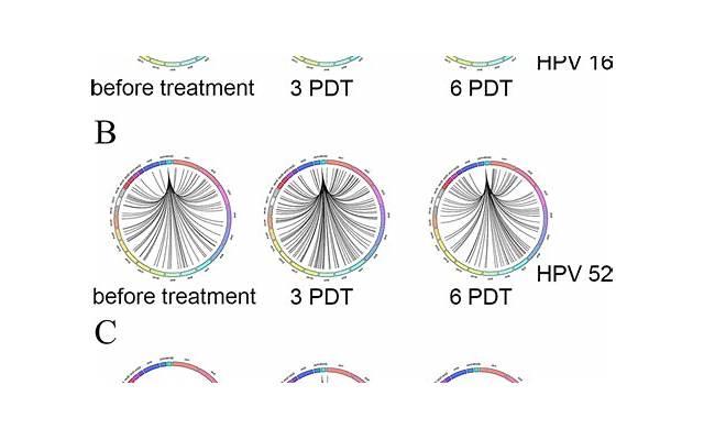 hpv52阳性是老公出轨了吗，老公得了HPV52是出轨的证明吗？