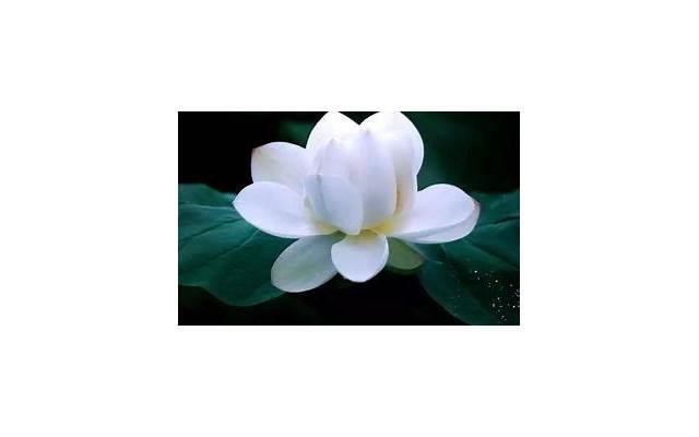 32岁出轨女人自述：开始只是寻开心，后来才知“偷吃”会上瘾