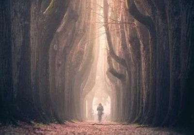 ​香港八仙饭店灭门案各种细节灵异事件