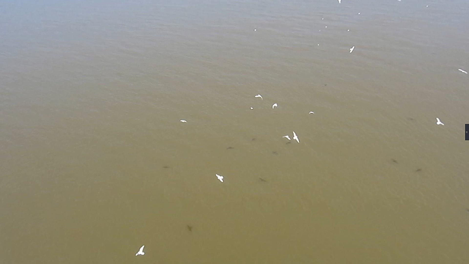 哈尔滨跨越松花江最壮观的一座大桥——松浦大桥