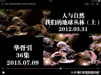 ​《华胥引》抄袭《人与自然》？敢在央视头上动土，敬你是条汉子