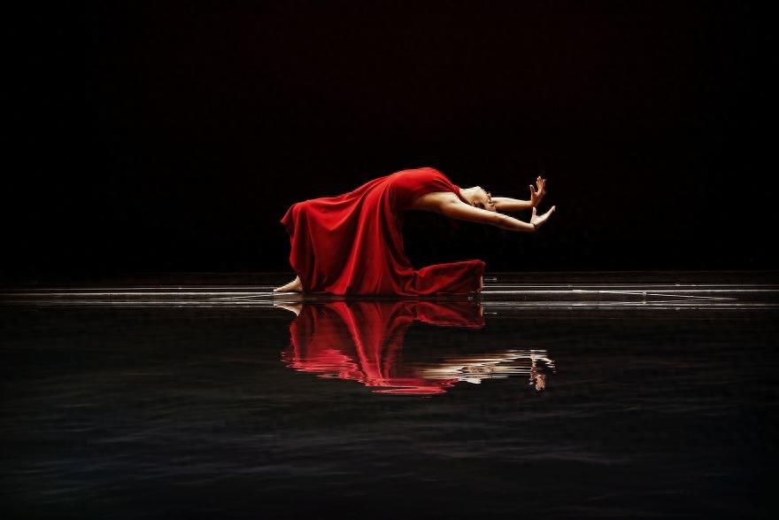 这20张获奖摄影作品,每张都是佳作,这才是好作品的标准!