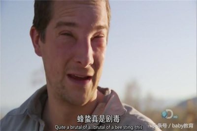 ​大黑话：baby趣解之贝尔-兰卡斯特制