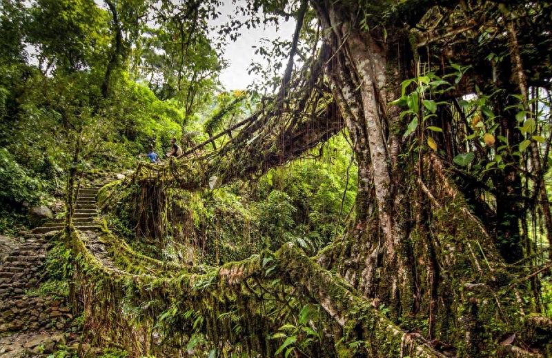 揭秘印度卡西族,仅存的印度女儿国,女子是一家之主,最小的女儿是家族继承人