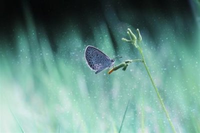 ​阿弥陀佛么么哒语句精选