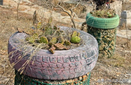 安徽宿州：农民创意废旧轮胎，制作花盆‘秋千，变废为宝美化环境