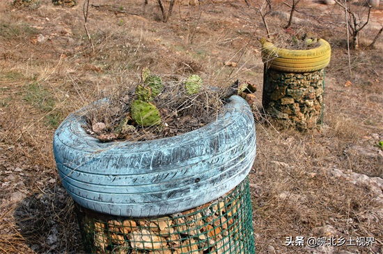 安徽宿州：农民创意废旧轮胎，制作花盆‘秋千，变废为宝美化环境