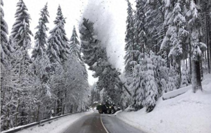 百年难见极端气候!暴雪肆虐欧洲10天已21死,多国交通大乱!