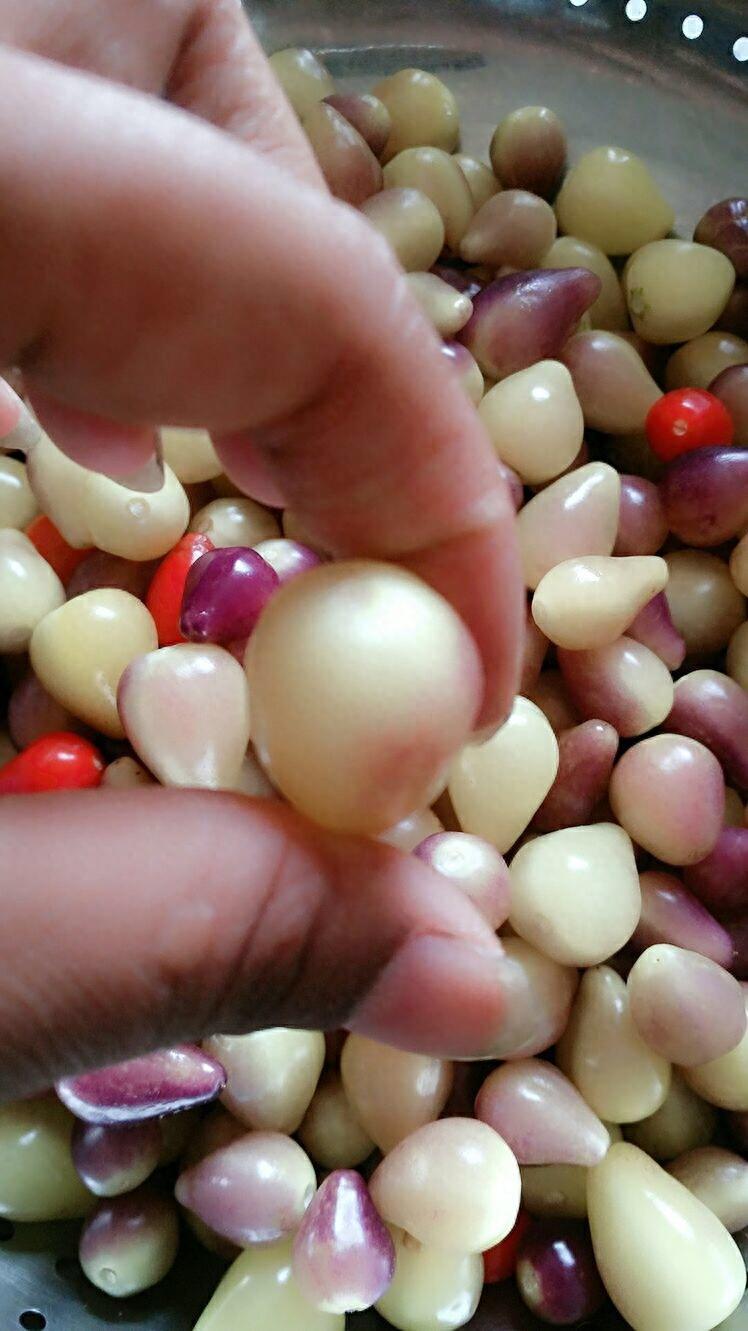 辣椒王国湖南的珍品,被称世界一绝的珍珠辣居然这么好看