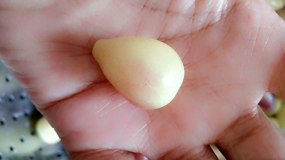 辣椒王国湖南的珍品,被称世界一绝的珍珠辣居然这么好看