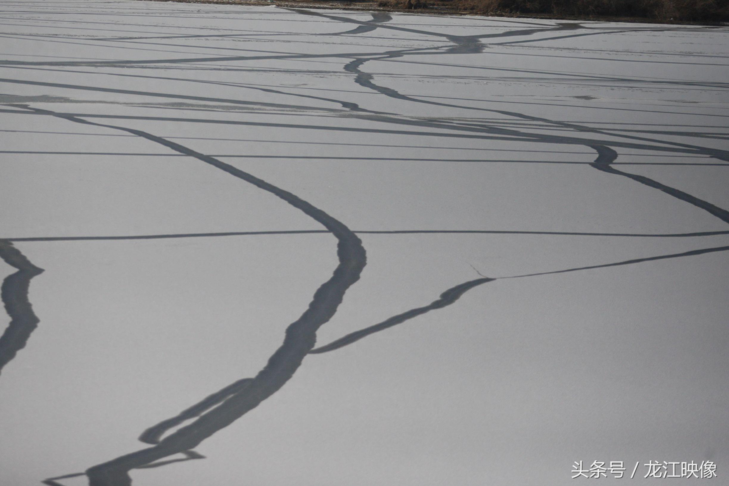 冰封松花江面上出现美丽纹络,如水墨画一般,其下面存巨大危险