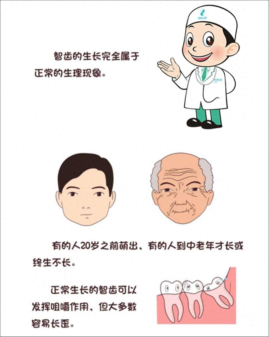 口腔常识手册之智齿,一组图带你了解智齿为什么疼