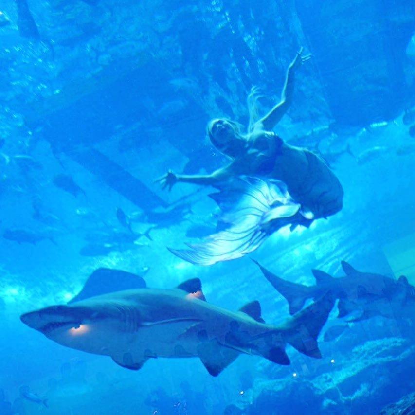 15张迪拜的富豪日常,让你感觉他们是疯狂地球人,在盲目拜金