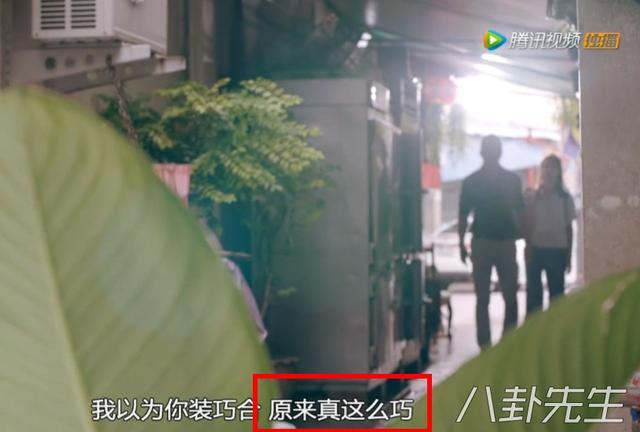 《使徒行者2》最大的败笔,是加了这个傻白甜卧底