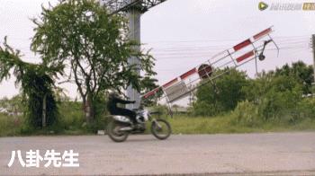 《使徒行者2》最大的败笔,是加了这个傻白甜卧底