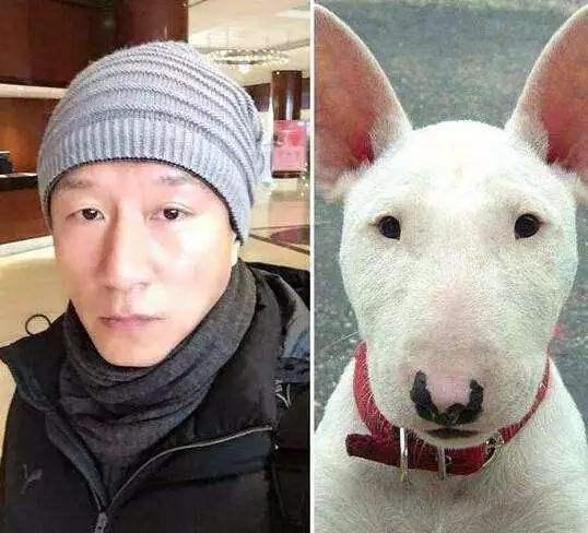 《极限挑战》拍摄5季,黄磊与孙红雷的关系,暴露在了《小欢喜》