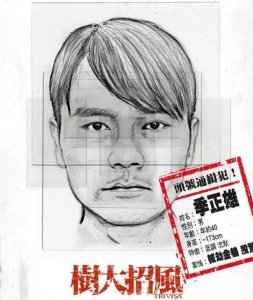 ​《树大招风》这部被禁的香港警匪片, 完全让你猜不到结局