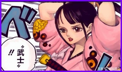 ​海贼王948情报：最美女装大佬，小菊确认为女性，尾田癖好古怪