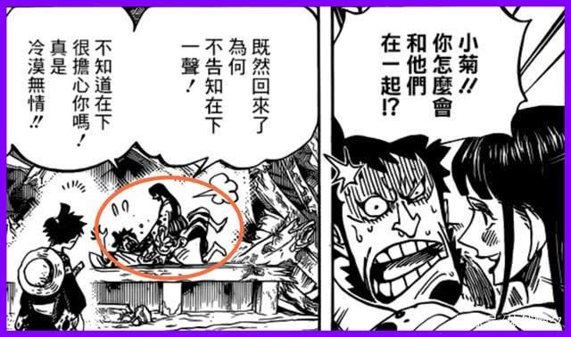 海贼王948情报：最美女装大佬，小菊确认为女性，尾田癖好古怪