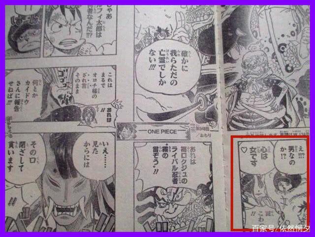 海贼王948情报：最美女装大佬，小菊确认为女性，尾田癖好古怪