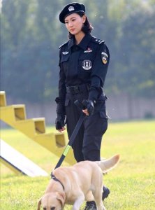 ​狗是人类的好朋友，盘点关于警犬神犬的电视剧，你看过哪一部呢？