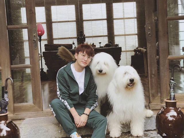 李小璐事件中，贾乃亮的回复