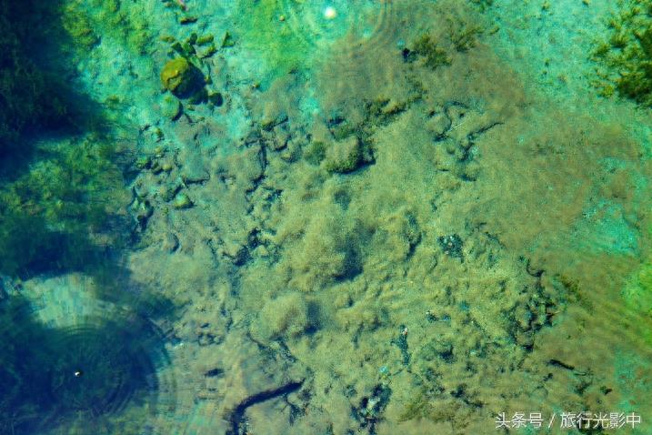 天下奇观:山东省泗水县泉林景区