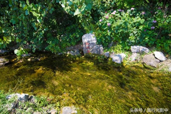 天下奇观:山东省泗水县泉林景区